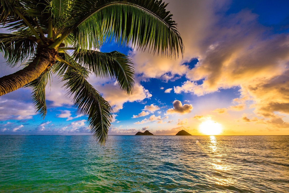 Hawaiian beaches